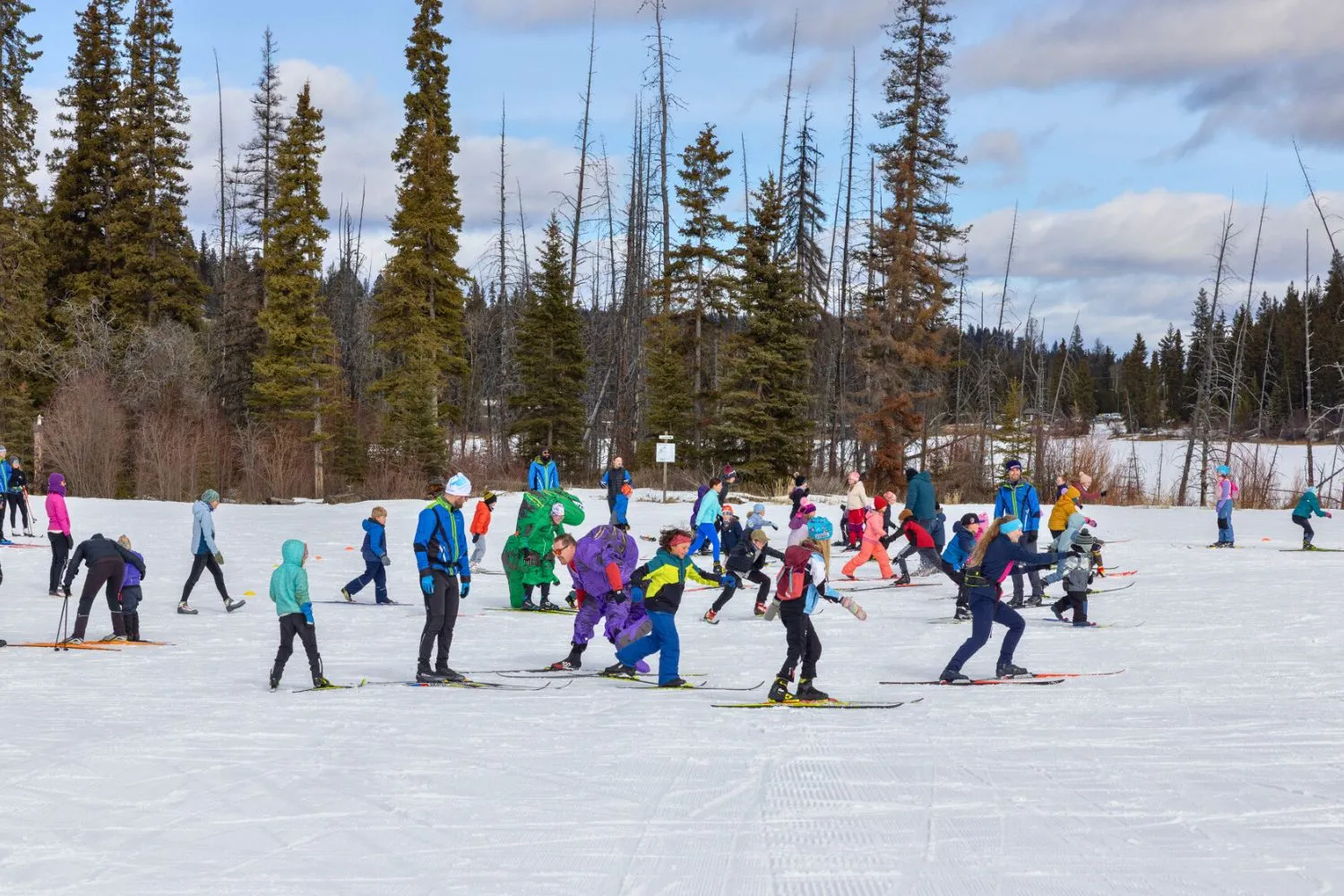 A large group of kids skiing at Overlander.